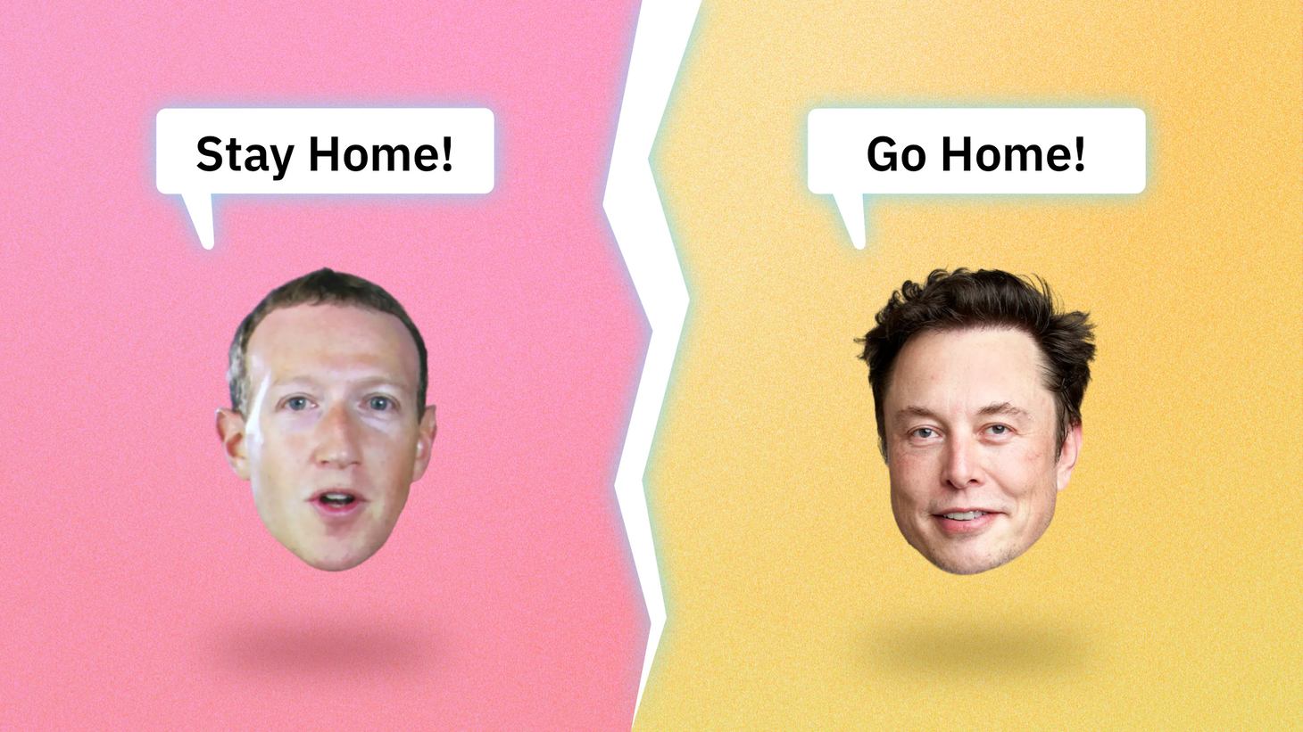 Zucked and Musked